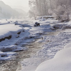_MG_2070.jpg