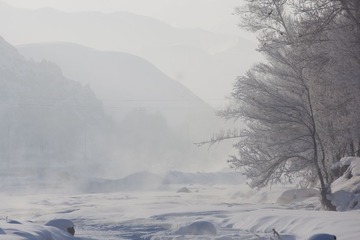 _MG_2072.jpg
