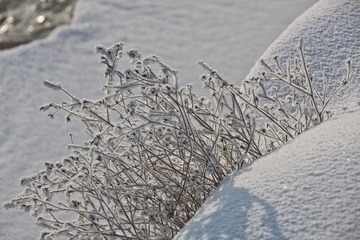 _MG_2073.jpg