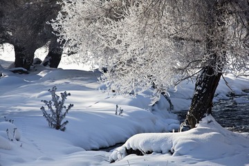_MG_2097.jpg