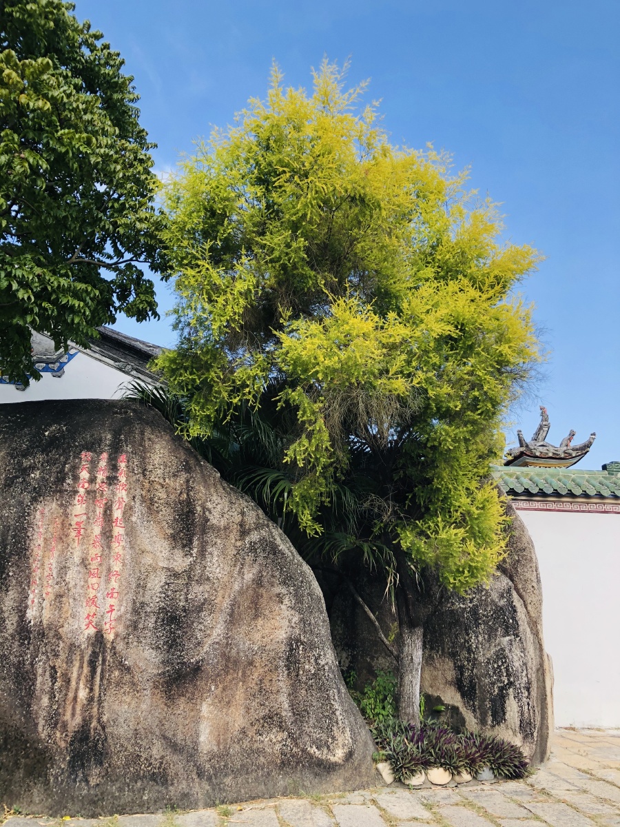 汕头朝阳区-莲花峰风景区