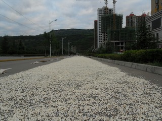 539729