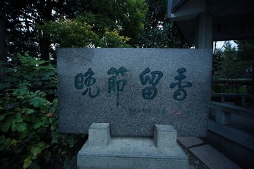 IMG_9065.JPG