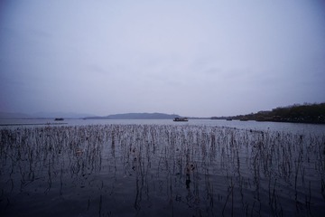 IMG_9054.jpg