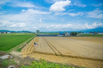 _DSC4402