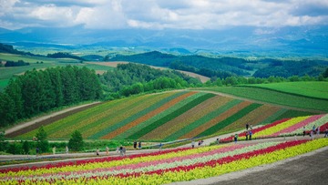 _DSC4468
