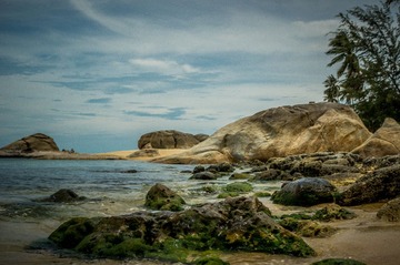 _DSC2879