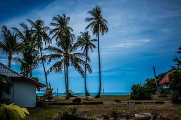 _DSC2895
