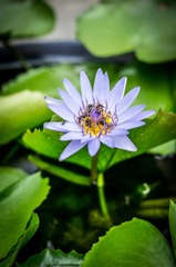 _DSC2656