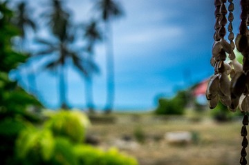 _DSC2894