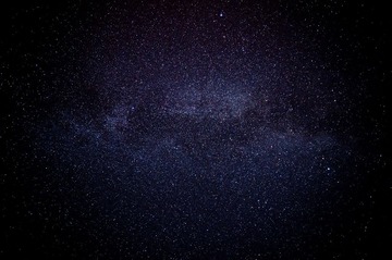 _DSC3784
