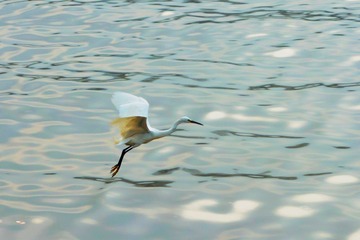 IMG_0003.JPG