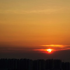 DSC02788.jpg