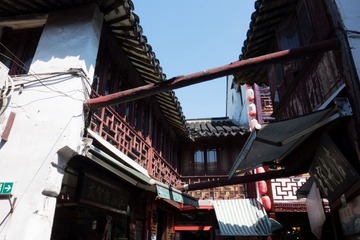 DSC03111.jpg