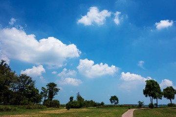 DSC03288.jpg