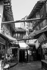 DSC03115.jpg