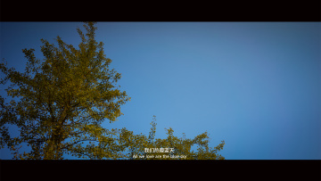 DSC00230_