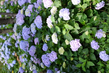 344062