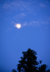 DSC04951副本