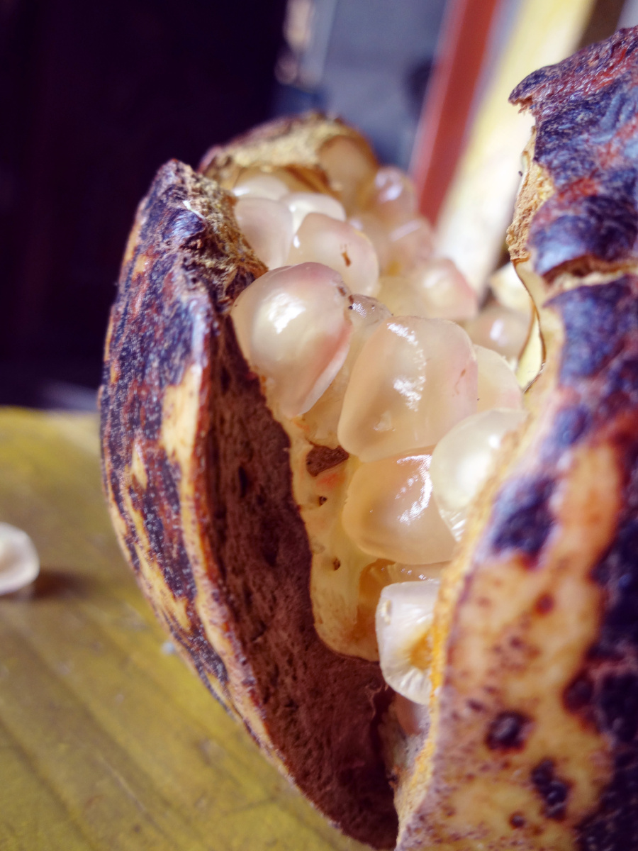 自然裂开的石榴