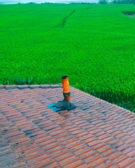 DSC00739_2