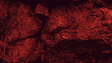 Untitled 2