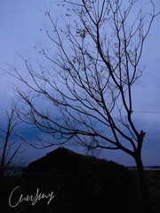 DSC00654的