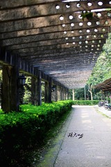 IMG_86681.jpg