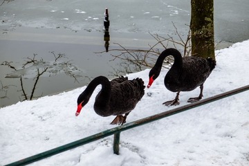 DSCF2709.jpg