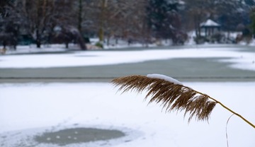 DSCF2664.jpg