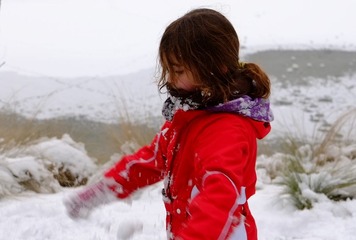 DSCF2737.jpg