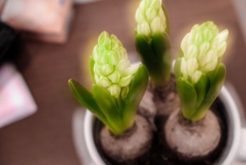 DSCF3415.jpg