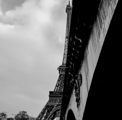 DSCF4391.jpg