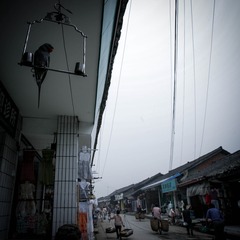 LN9O0707.jpg