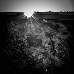 杨刚2006060811.jpg