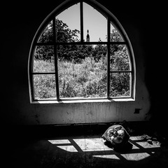 杨刚2006060814.jpg