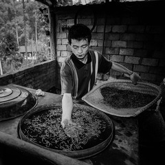 杨刚2007032206.jpg