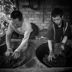 杨刚2007032217.jpg