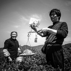 杨刚2007032225.jpg