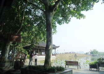 DSC00654.JPG