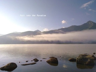 Fall into the Paradise