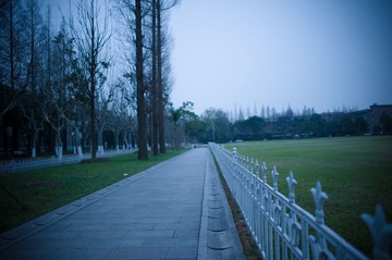 DSC_9220.jpg