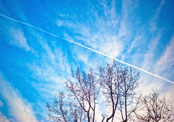 DSC_9624 (2)_副本.jpg