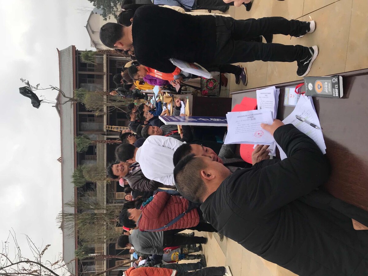丰南政府网
