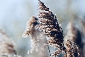 FF6C9DB7-DF4D-499B-BBD7-1AE818C070C3/L0/001