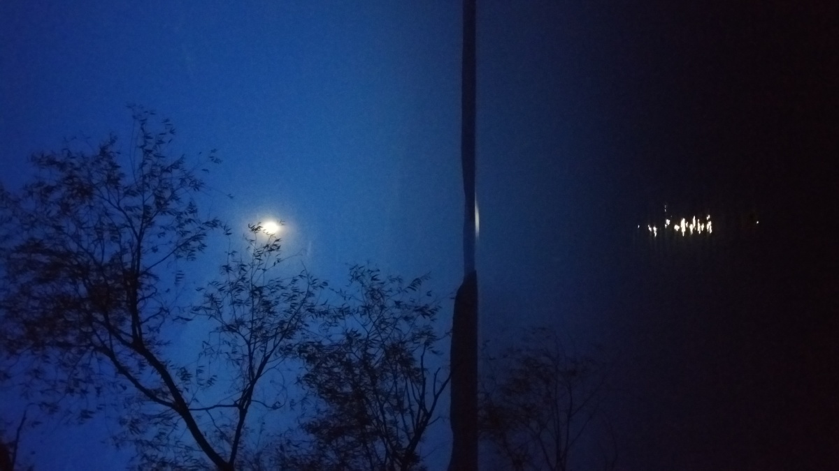 月上树梢映潭中