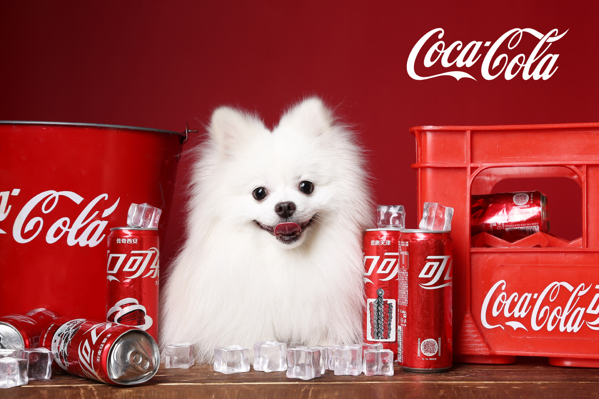 也太太太可爱了 - 宠物摄影师甄妮 - 图虫