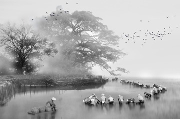 DSC_3222--- 