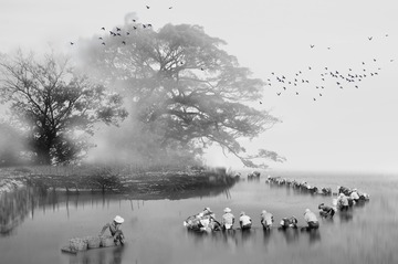 DSC_3222--- 