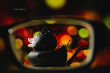 DSC_2421-1_副本.jpg